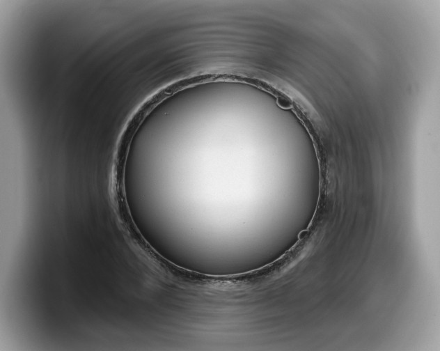 X0000099580880200805301557