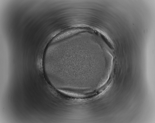 X0000099580881200805301557