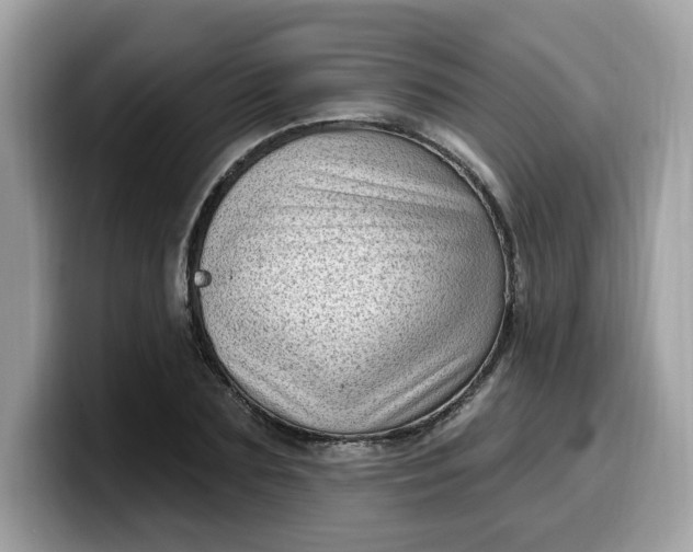 X0000099580883200805301557