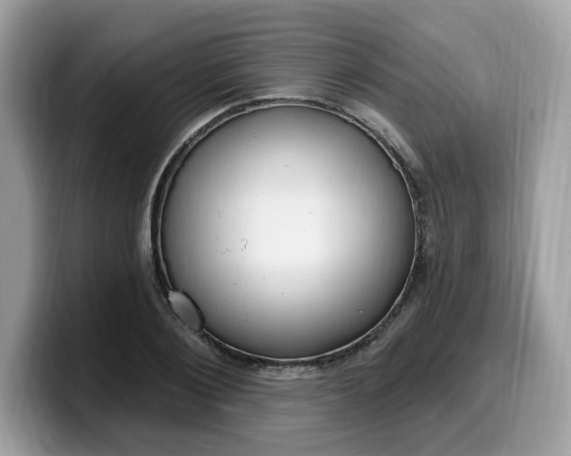 X0000099580884200805301557