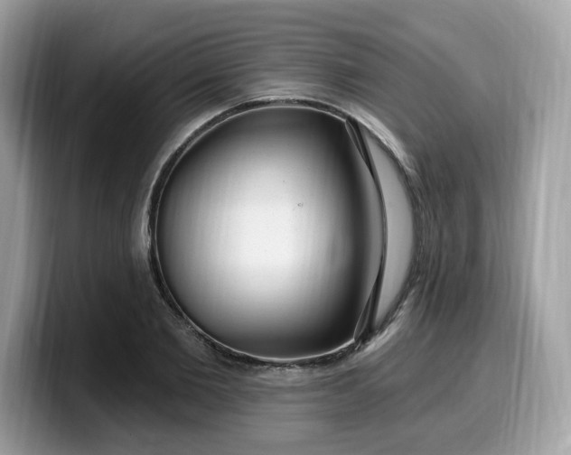 X0000099580885200805301557