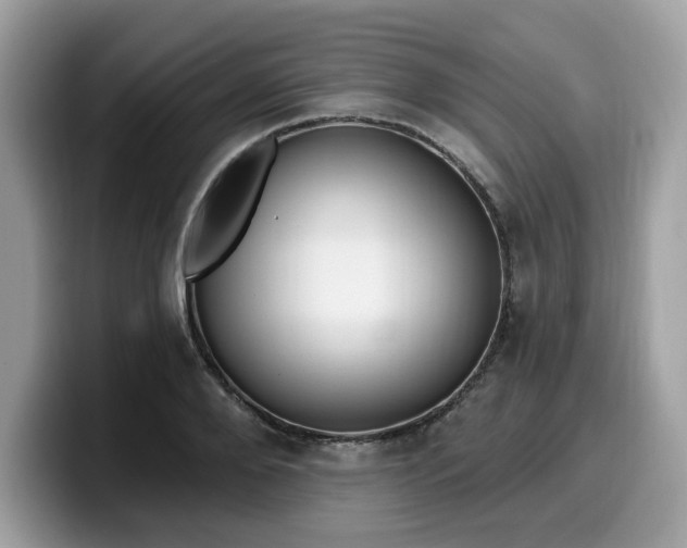 X0000099580888200805301557