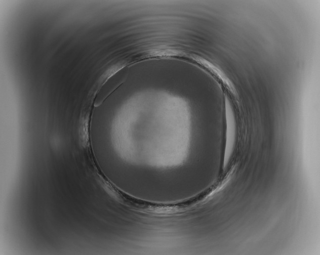 X0000099580889200805301557