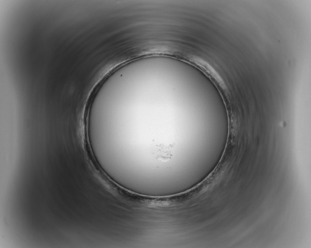 X0000099580890200805301557