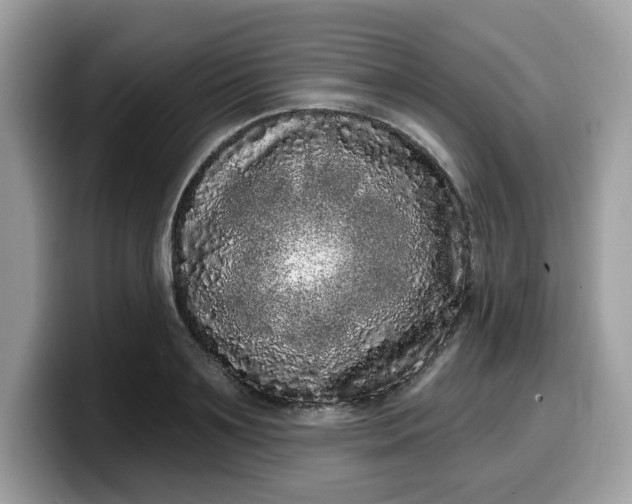 X0000099580891200805301557