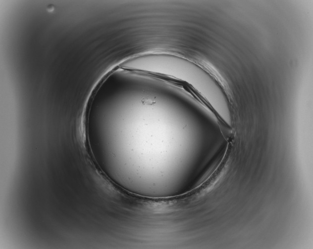 X0000099580892200805301557