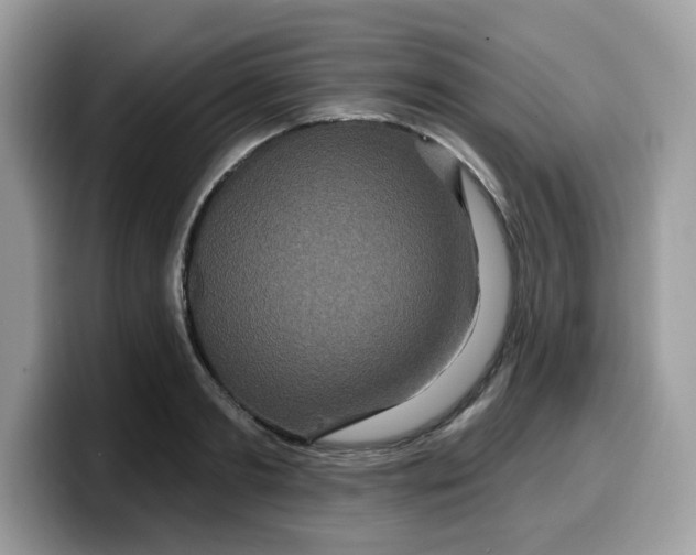 X0000099580893200805301557