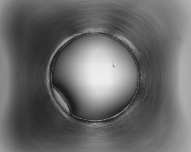 X0000099580894200805301557