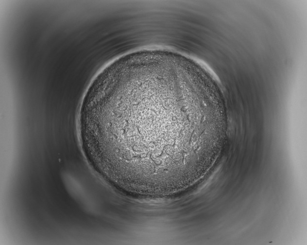 X0000099580895200805301557