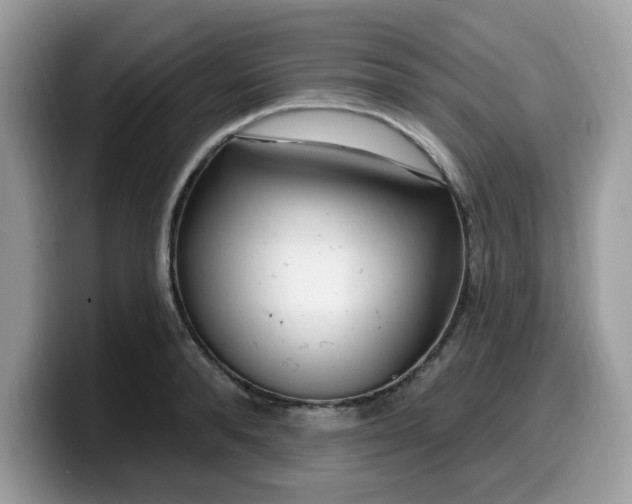 X0000099580896200805301557