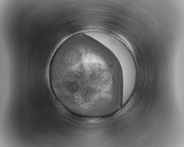 X0000099580899200805301557