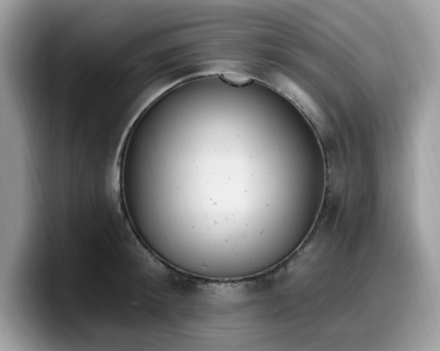 X0000099580900200805301557