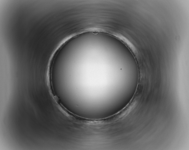 X0000099580902200805301557