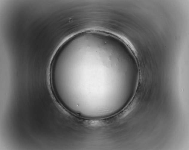 X0000099580903200805301557