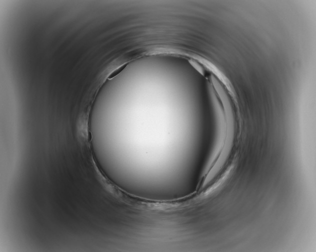 X0000099580905200805301557