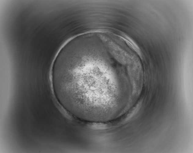 X0000099580907200805301557