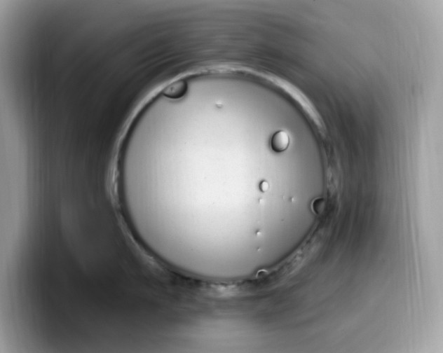 X0000099580911200805301557