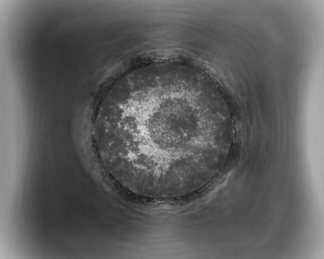 X0000099580913200805301556