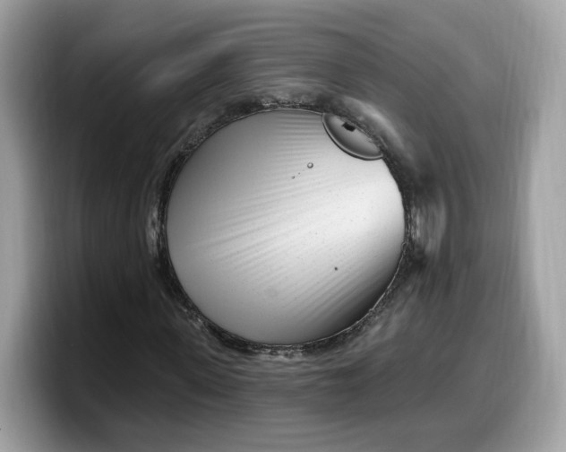 X0000099580915200805301556