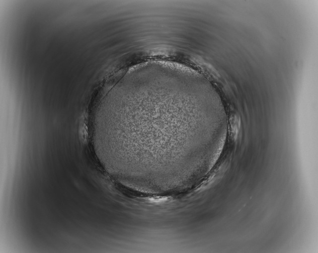 X0000099580916200805301556