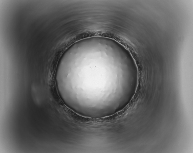 X0000099580917200805301556