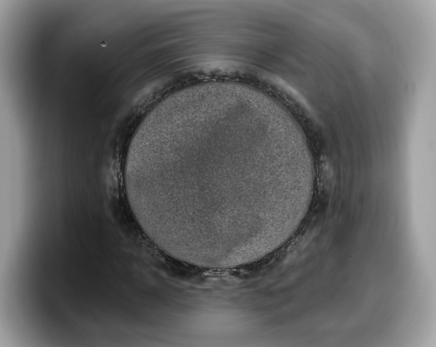 X0000099580918200805301556