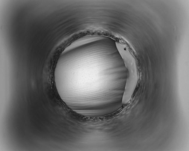 X0000099580919200805301556