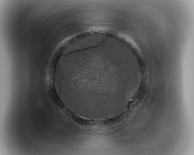 X0000099580920200805301556