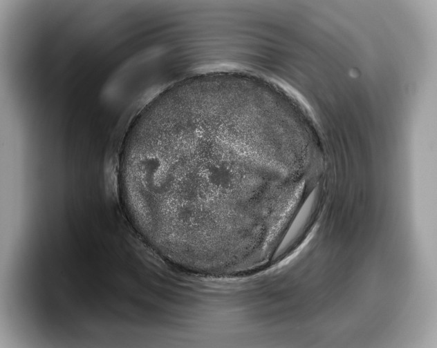 X0000099580921200805301556