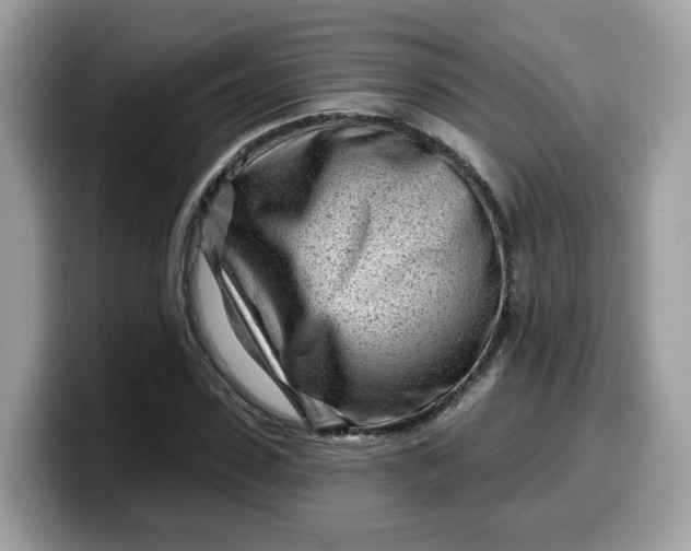 X0000099580923200805301556