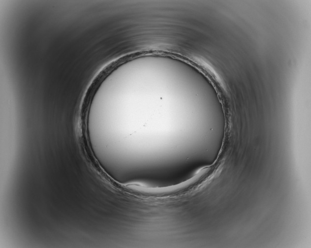 X0000099580924200805301556