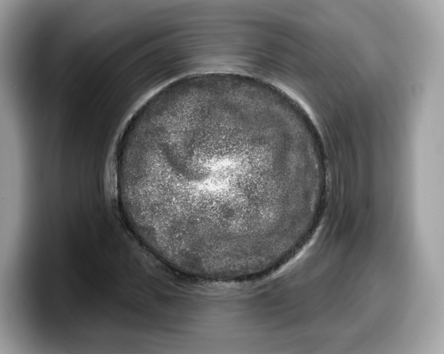 X0000099580925200805301556