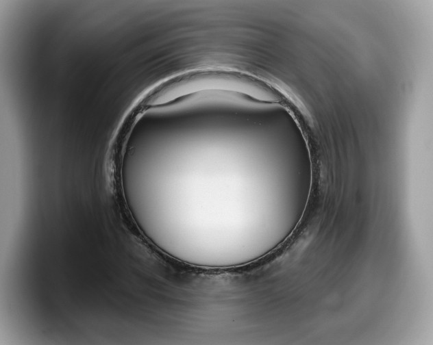 X0000099580926200805301556