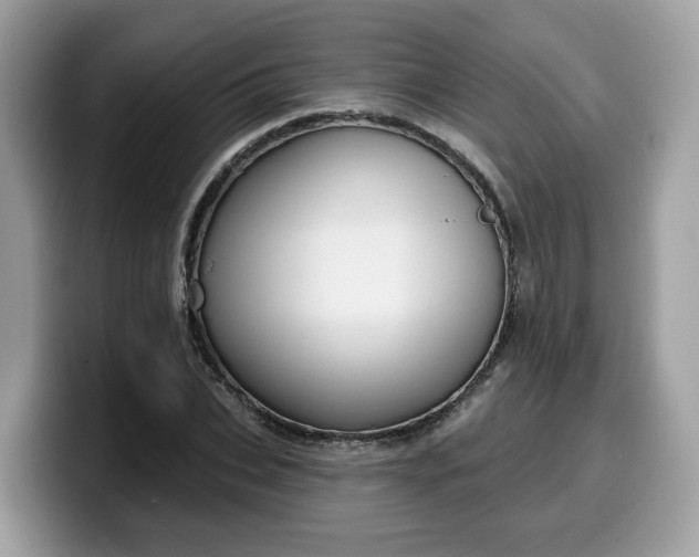 X0000099580927200805301556