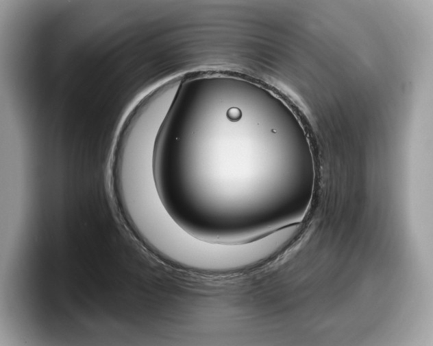 X0000099580928200805301556