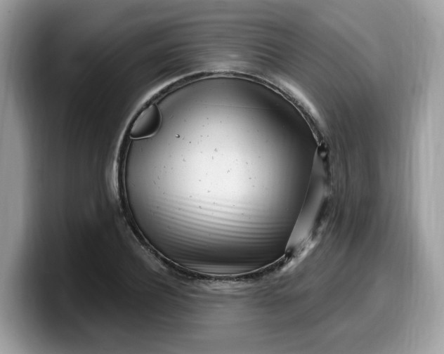 X0000099580932200805301556