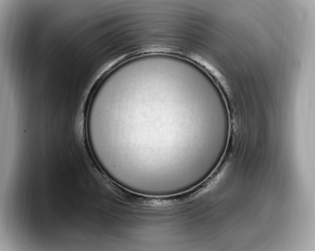 X0000099580933200805301556