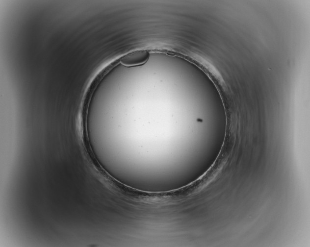 X0000099580936200805301556