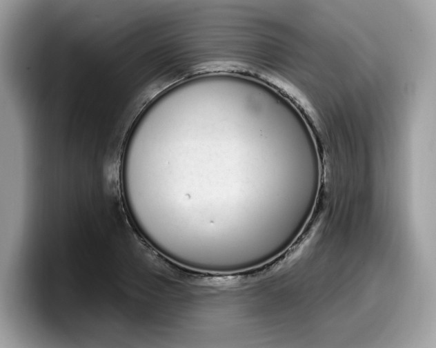 X0000099580937200805301556