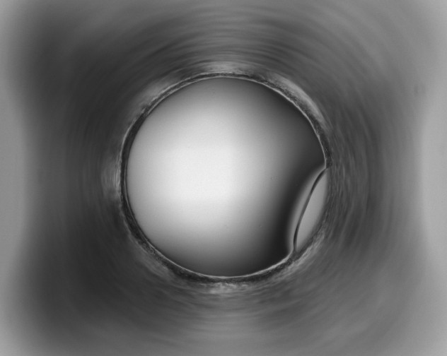 X0000099580938200805301557