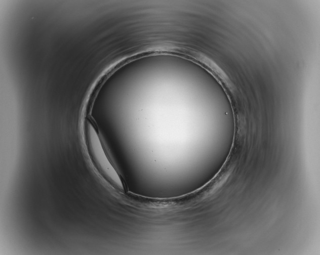 X0000099580939200805301557