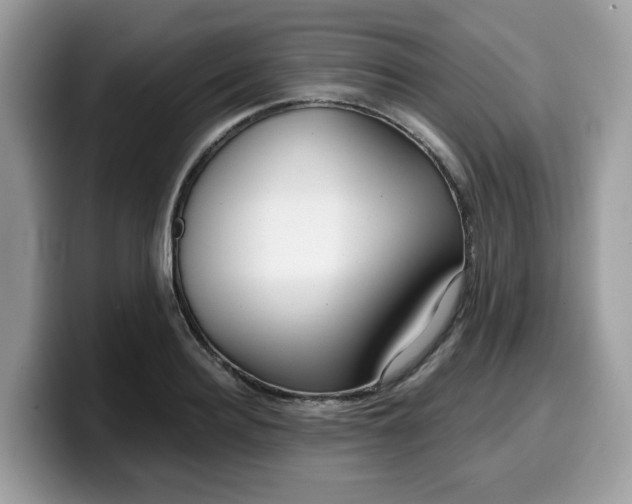 X0000099580940200805301557