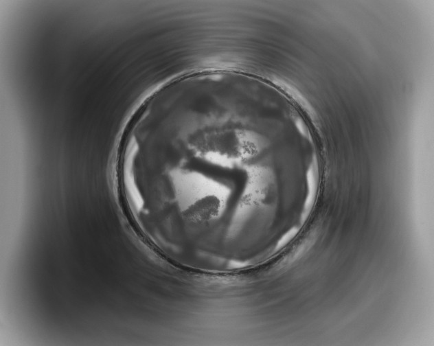 X0000099580941200805301557