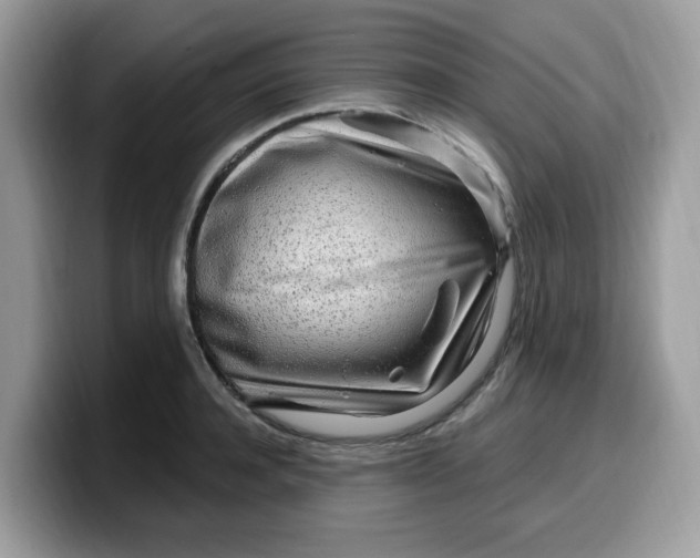 X0000099580944200805301557