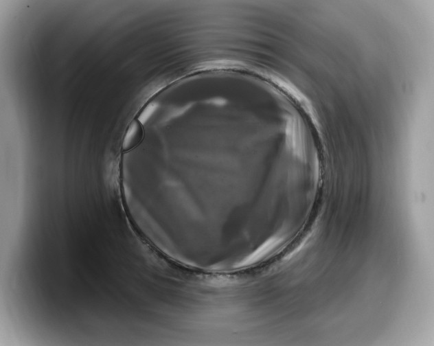 X0000099580945200805301557