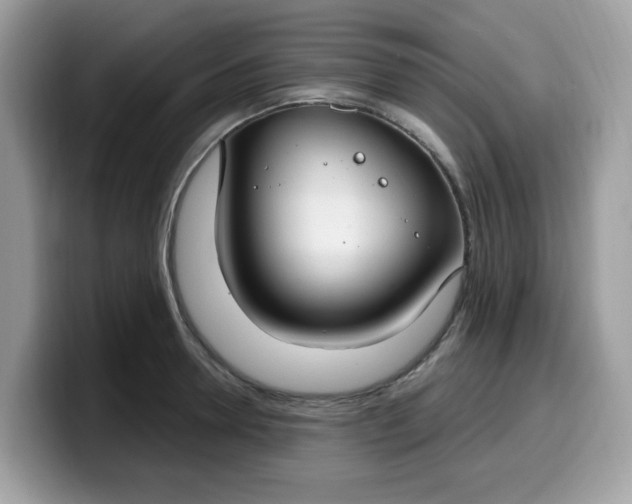 X0000099580946200805301557