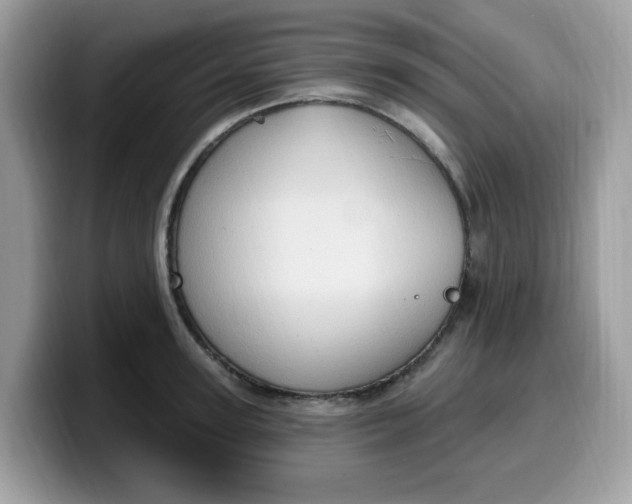 X0000099580947200805301557