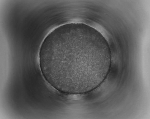 X0000099580950200805301557