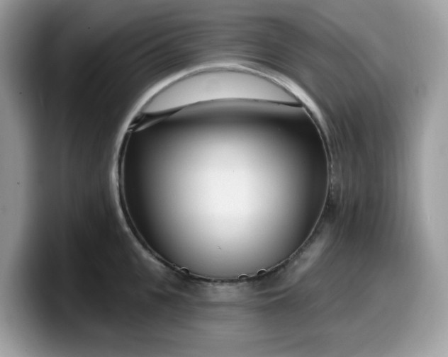 X0000099580951200805301557