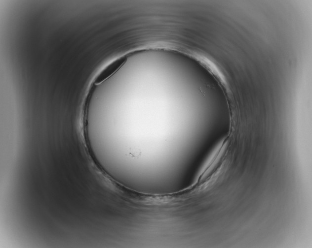 X0000099580952200805301557